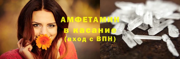 ешки Аркадак