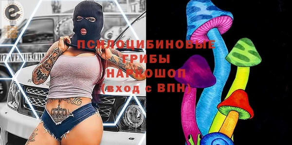 ешки Аркадак