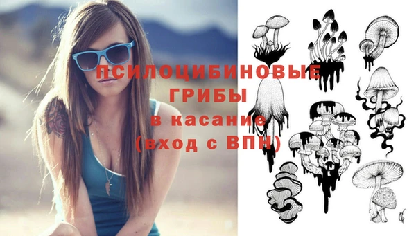 ешки Аркадак