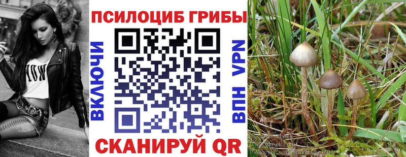 Галлюциногенные грибы мухоморы omg Кондрово